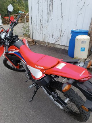 Honda CRF 300L 2024 - Solo Asfalto
