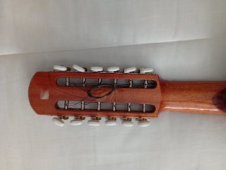 Guitarra de 12 cuerdas