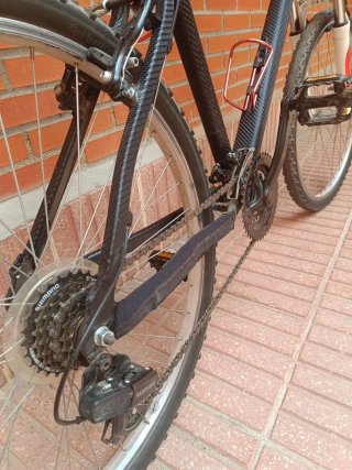 Bicicleta de Montaña