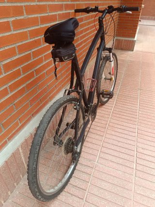 Bicicleta de Montaña