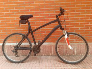 Bicicleta de Montaña