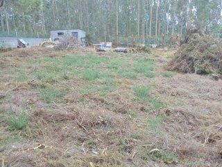 Terreno Finca San Román de Vilaestrofe alpendre