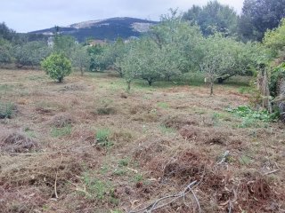 Terreno Finca San Román de Vilaestrofe alpendre