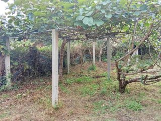 Terreno Finca San Román de Vilaestrofe alpendre