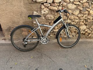 Bicicleta de montaña plateada