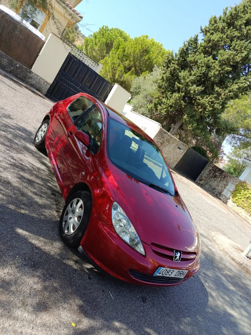 Peugeot 307 2005 - foto 1
