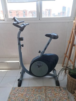 Bicicleta Estática Domyos Gris