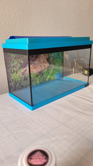 Pecera 12L con filtro y accesorios