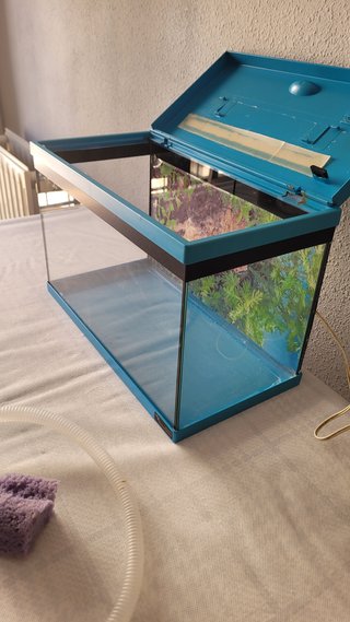 Pecera 12L con filtro y accesorios