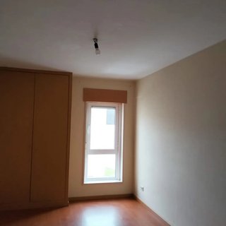 Servicios de pintura profesional