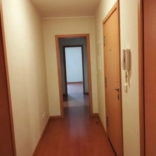 Servicios de pintura profesional