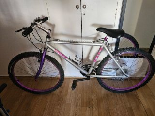 Bicicleta Lorrain 9300 Plataforma