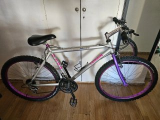 Bicicleta Lorrain 9300 Plataforma