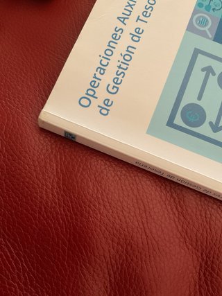 Operaciones auxiliares de Gestión de Tesorería