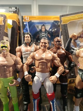 Lote Figuras WWE