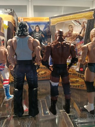 Lote Figuras WWE