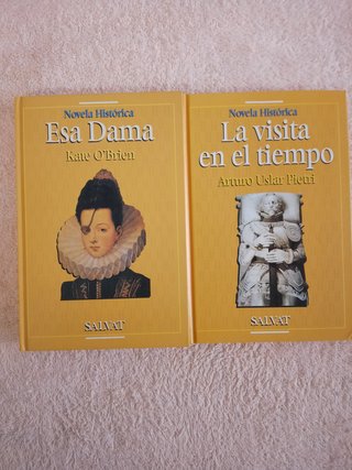 LOTE DE 10 NOVELAS HISTORICAS (NUEVAS)