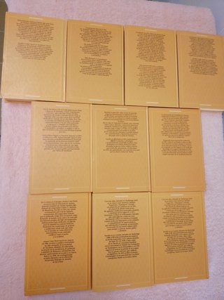 LOTE DE 10 NOVELAS HISTORICAS (NUEVAS)