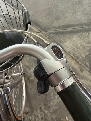 Bici Cigno Brooks Nuova
