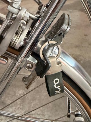 Bici Cigno Brooks Nuova