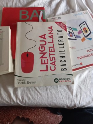 Beatriz Bernal Bachillerato. Lengua castellana