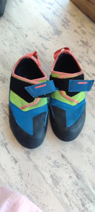Pies de gato azules y verdes