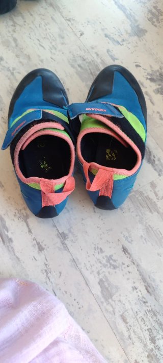 Pies de gato azules y verdes