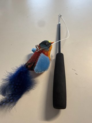 Bacchetta per gatti con uccello
