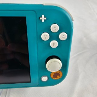 Nintendo Switch Lite + Custodia Verde