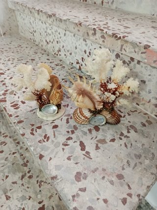 2 Decoración Coral y Conchas Marinas