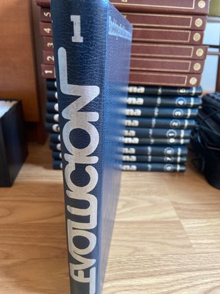 Enciclopedia como funciona