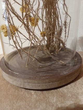Decoración floral seca en campana de cristal