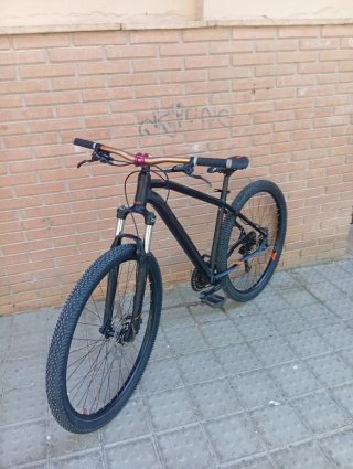 Orbea Bici 29