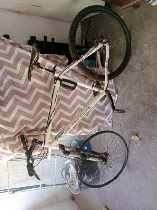 Bici Montaña Orbea Adulto