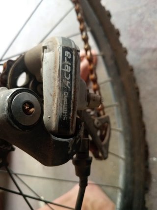 Bici Montaña Orbea Adulto