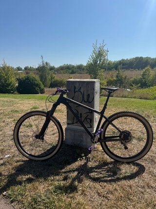 Bicicleta 29 NS Eccentric