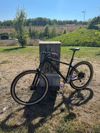 Bicicleta 29 NS Eccentric