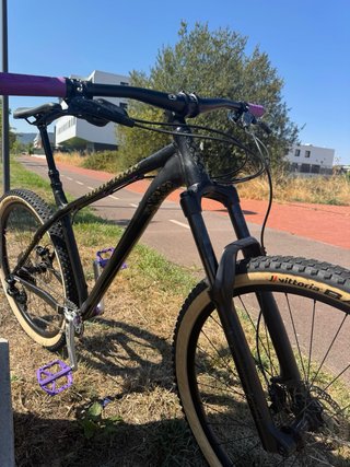 Bicicleta 29 NS Eccentric