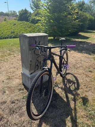 Bicicleta 29 NS Eccentric