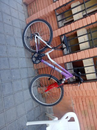 Bicicleta Montaña Morada y Blanca