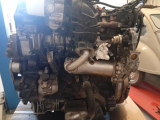 Motor Ford Transit YLF6