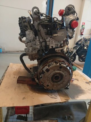 Motor Ford Transit YLF6