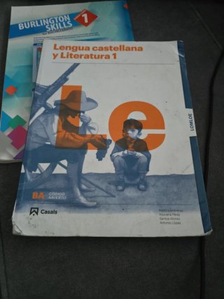 Lengua castellana y literatura 1, Le Bachillerato