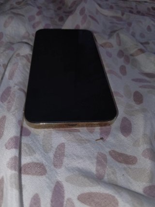 iPhone 13 Pro Max pantalla quemada
