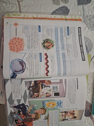Conocimiento del Medio 6, Tercer Ciclo Primaria...