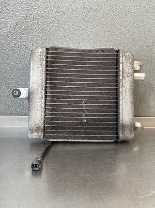 Radiador Burgman 125 2015 ABS