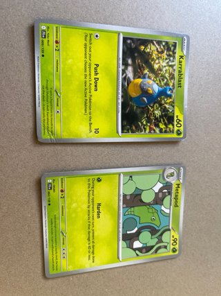 Cartas Pokémon: Wattrel, Togedemaru, Voltorb, Grav