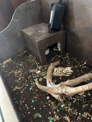 Terrario Madera y Cristal para Mascotas
