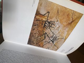 Libro: El dibujo (Gran formato)