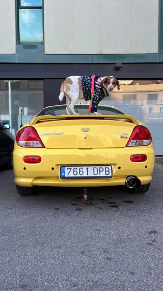Hyundai Coupe 2005